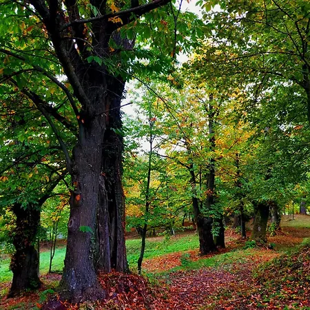 Oda ve Kahvaltı Casa Barattini