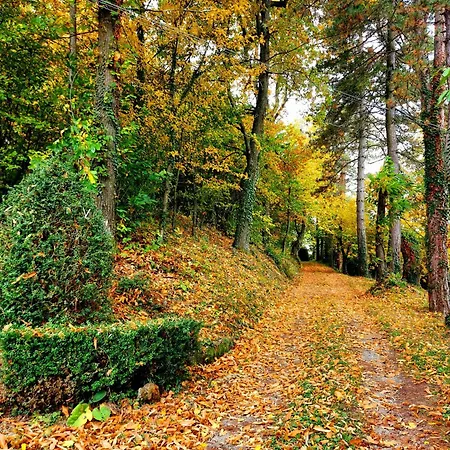 Oda ve Kahvaltı Casa Barattini