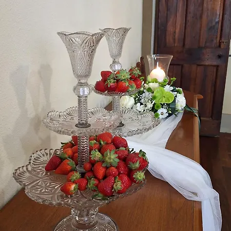 Oda ve Kahvaltı Casa Barattini 3*