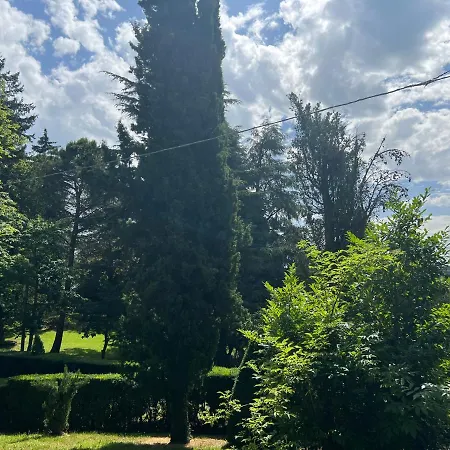 Casa Barattini לינה וארוחת בוקר 3*