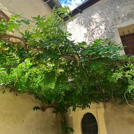 住宿加早餐酒店 Casa Barattini Zocchetta