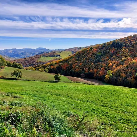 Casa Barattini Zocchetta