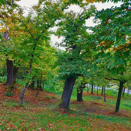 Casa Barattini Zocchetta