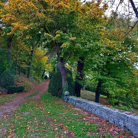 Casa Barattini Bed and breakfast 3*