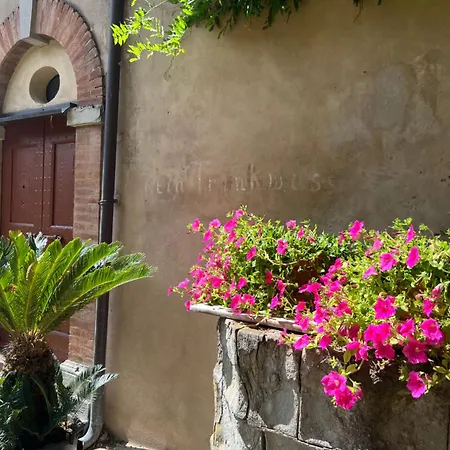 Casa Barattini Zocchetta