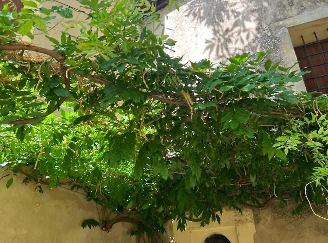 Bed and Breakfast Casa Barattini Zocchetta