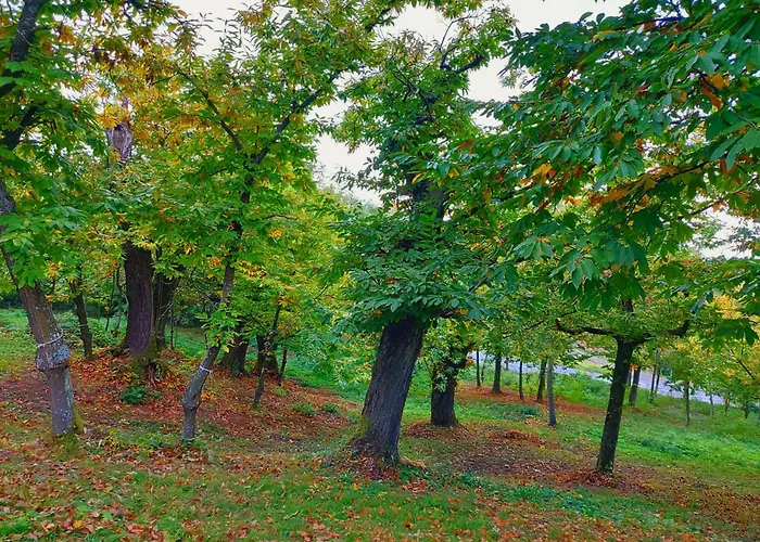 Casa Barattini Zocchetta