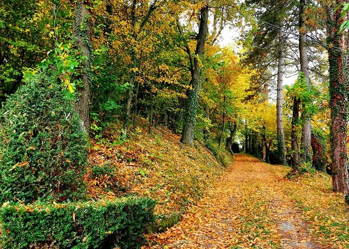 فندق مبيت وإفطار Casa Barattini