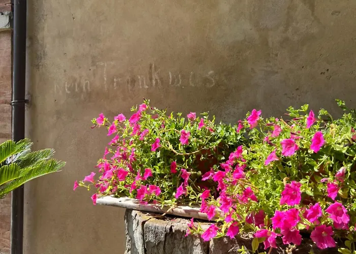 Bed and Breakfast Casa Barattini Zocchetta